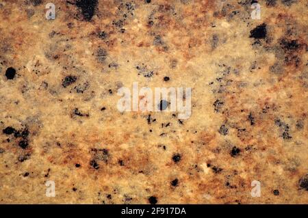 Light brown granite with black and white small inclusions, close-up of polished flat surface of natural stone. Background, pattern, texture. Stock Photo