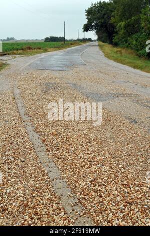 A narrow, historic stretch of original Route 66 roadway near Miami, Oklahoma, known as the Ribbon Road or Sidewalk Highway. Stock Photo