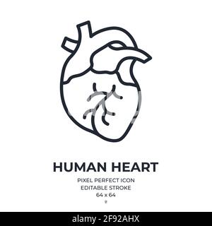 Human heart editable stroke outline icon isolated on white background flat vector illustration. Pixel perfect. 64 x 64. Stock Vector