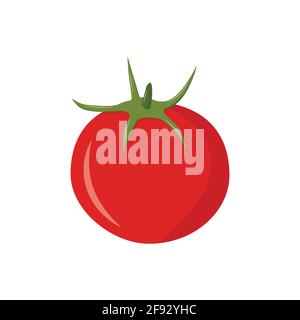 Tomato fresh vegetable vector isolate on white background healthy diet green food for graphic design, logo, web site, social media, mobile app, ui ill Stock Vector