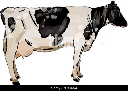Premium Vector | Cow grazing in the meadow sketch hand drawn vector  illustration.