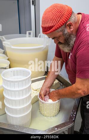 Pastor Gregorio, in his dairy, prepares ricotta to sell. Scanno, Province of L'Aquila, Abruzzo, Italy, Europe Stock Photo