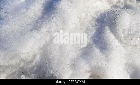 Close-up of dirty snow with frozen ice in early spring. Sunlight and shadows on snow texture, the concept of climate and seasonal weather. Stock Photo