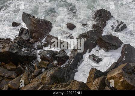 Waves crash against the rocky shores of the Basque coast. San Sebastian, Spain Stock Photo