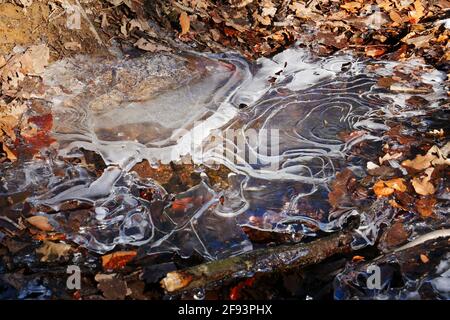 Ice sheets formation with structure on a stream in the forest Stock Photo