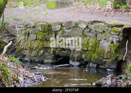 old stone wall made of large stones overgrown with moss to secure a hiking trail to a forest stream Stock Photo