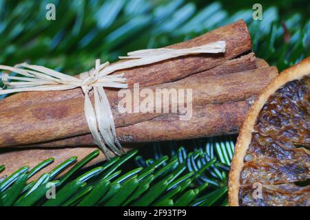 Macro close up of cinnamon sticks with bow and dried orange on fir needles Stock Photo