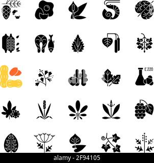 Allergy cause black glyph icons set on white space Stock Vector