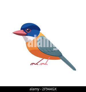 Kingfisher bird Green-backed Kingfisher. Alcedo at this. Cartoon bird, beautiful character of ornithology, vector illustration isolated on white Stock Vector
