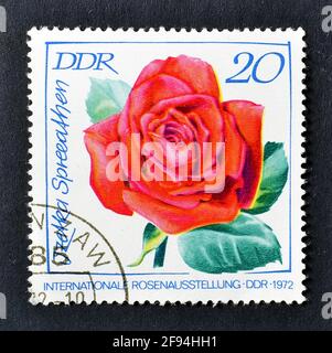 Cancelled postage stamp printed by East Germany, that shows Rose, circa 1972. Stock Photo