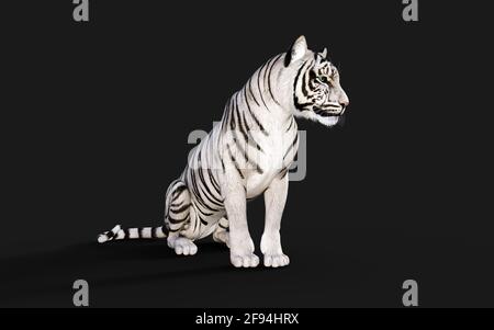 White Tiger Albino Isolated on Dark Background with Clipping Path. 3d Illustration. Stock Photo