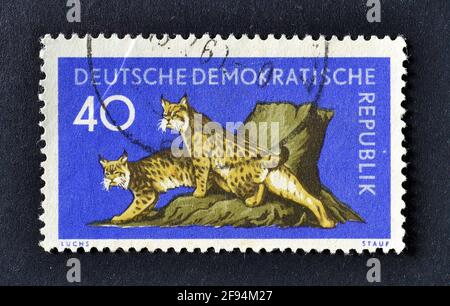 Cancelled postage stamp printed by East Germany, that shows Lynx, circa 1959. Stock Photo