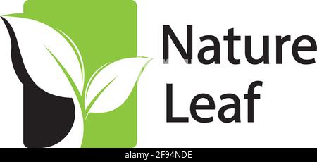 leaf logo design vector for nature symbol template editable,Green leaf logo ecology nature element vector icon. Stock Vector