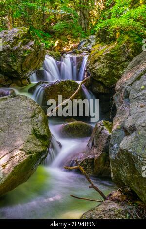 View of a small waterfall hidden in a forest in the central balkan national park in Bulgaria Stock Photo