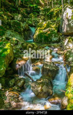 View of a small waterfall hidden in a forest in the central balkan national park in Bulgaria Stock Photo