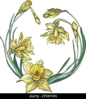 Vector floral colored spring round frame with Narcissus flowers. Spring flowers. Stock Vector