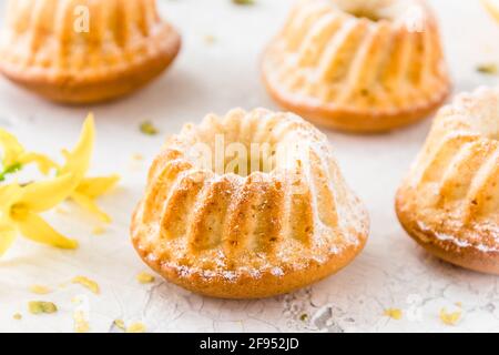 Homemade delicious mini lemon bundt cakes (muffins) on white background Stock Photo