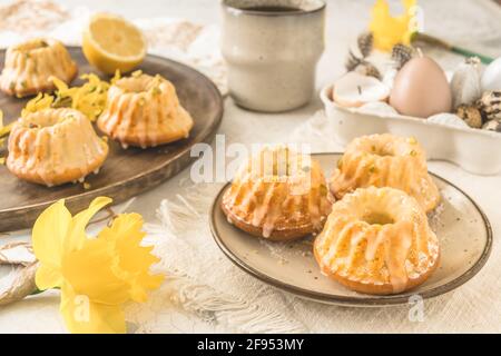 Homemade delicious mini lemon bundt cakes (muffins) on a plate on a easter table with fresh spring blossoms. Stock Photo
