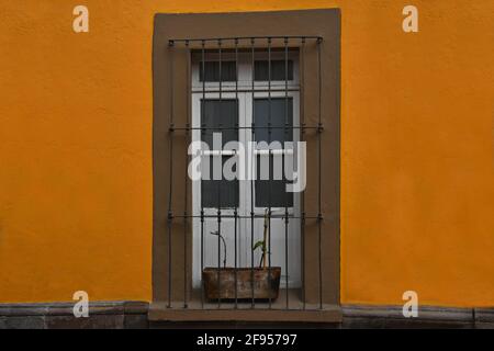 Colonial house facade with an ochre stucco wall and a stone trimmed window with handcrafted iron grilles in Santiago de Querétaro, Mexico. Stock Photo