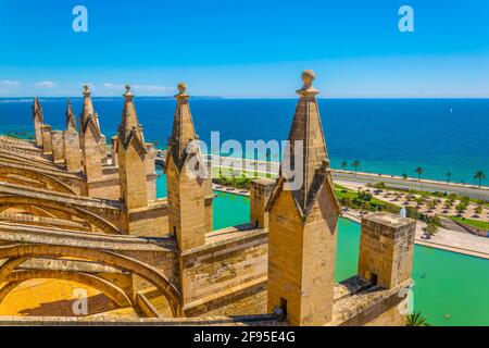 Rooftop of the cathedral in Palma de Mallorca, Spain Stock Photo