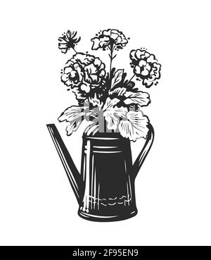 Illustration of garden watering can Stock Vector Image & Art - Alamy