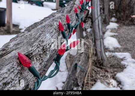 A tangle of red Christmas light bulbs unlit on an old rickety wooden fence in London Canada. Rustic holiday-themed decorations for the season. Stock Photo