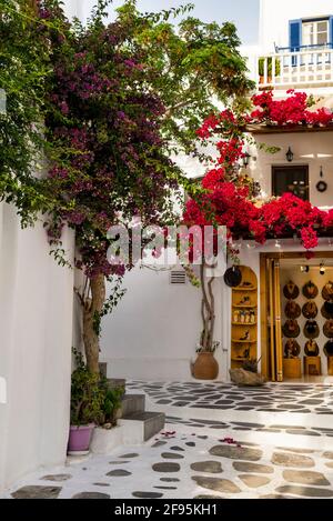 Chora, or Mykonos town, is filled with quaint stone walkways