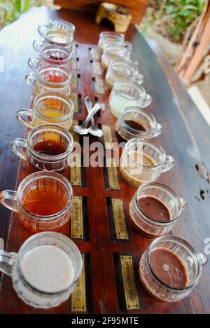 Coffee and tea tasting board at the Bali Coffee plantation. Coffee and tea grown in Bali and Java. Luwak coffee is the most expensive in the world. Stock Photo