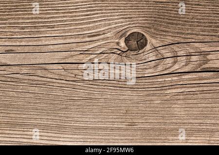 Background and texture of weathered Siberian larch wood with knothole Stock Photo