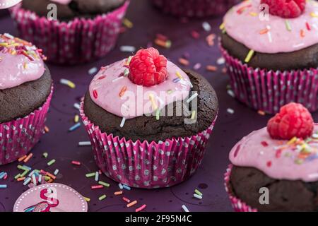 Chocolate cupcakes with raspberry cream, whole raspberry, sugar sprinkles and summer decoration. Closeup. Stock Photo