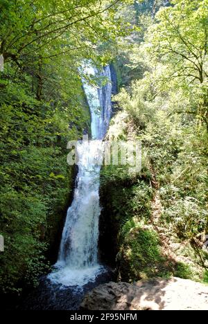 Bridal Veil Falls is a waterfall located on Bridal Veil Creek in the Columbia River Gorge in Multnomah County, Oregon, United States. Stock Photo