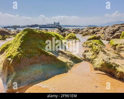 Stone with moss on the beach Stock Photo