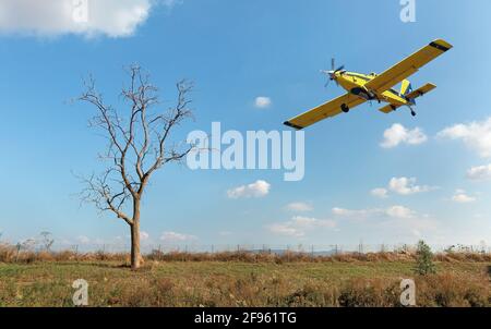 landscape lonely tree and plane in blue sky Stock Photo