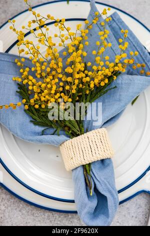 Spring mimosa flowers and table setting Stock Photo