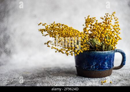 Mimosa flowers in a cup in interior Stock Photo