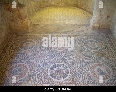 General view of the mosaic of the Cubicle with Fruits of Villa Romana del Casale Stock Photo