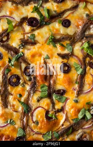 Homemade Gourmet Anchovy PIzza with Olives and Basil Stock Photo