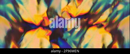 Wide banner. Blurry iridescent holographic foil background. Colorful reflective folia. Greeting card. Copy space. Flat lay. Stock Photo