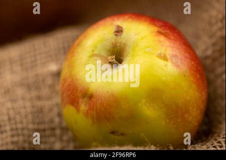 Fresh green apple on a homespun cloth with a rough texture. Close-up selective focus. Stock Photo