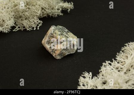 Dendrite manganese oxides from Morocco. Natural mineral stone on a black background surrounded by moss. Mineralogy, geology, magic, semi-precious Stock Photo