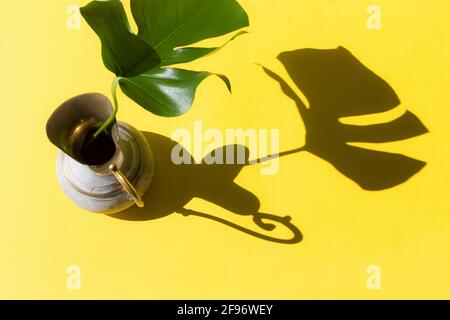 Monstera leaf in brass jug with sunlight and harsh shadow on yellow paper background. Summer concept with palm tree leaf. Copy space. Flat lay. Stock Photo