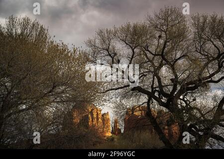 Cathedral Rock and cottonwood trees at Crescent Moon Ranch near Sedona, Arizona. Stock Photo