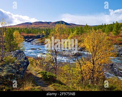 Europe, Norway, Oppland, Lom, Jotunheimen National Park, autumn landscape, rapids of the Sjoa