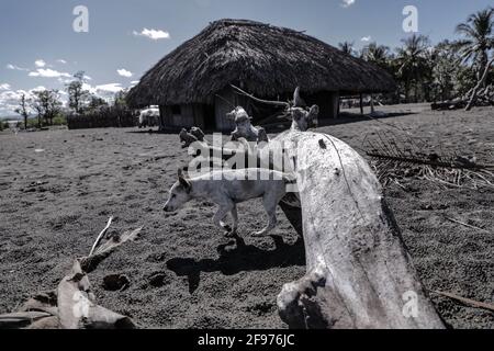 Malaka, Indonesia. 16th Apr, 2021. A dog seen around a house hit by floods during the aftermath of flash floods and landslides that hit several areas in East Nusa Tenggara. According to data from the National Disaster Management Agency (BNPB), the number of fatalities due to flash floods triggered by Seroja Tropical Cyclone that occurred on April 4, 2021 reached 181 people. (Photo by Risa Krisadhi/SOPA Images/Sipa USA) Credit: Sipa USA/Alamy Live News Stock Photo