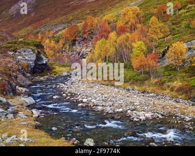 Europe, Norway, Oppland, Rondane National Park, autumn in the valley of the Grimsdalselva river Stock Photo