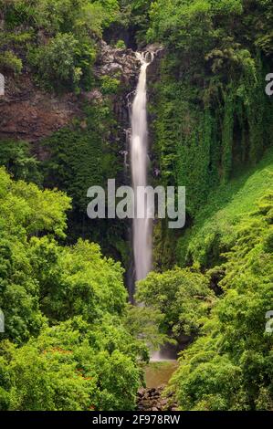 Makahiku Falls cascades 185ft along Pipiwai Trail in the Kipahulu District of Haleakala National Park, Maui, Hawaii. Stock Photo