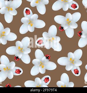 seamless pattern with crocus flowers with ladybug on petals on brown background Stock Vector