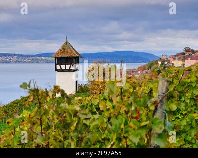 Lake Constance near Meersburg Stock Photo