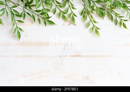 Border or frame of green vine leaves on white wood background with copy space Stock Photo