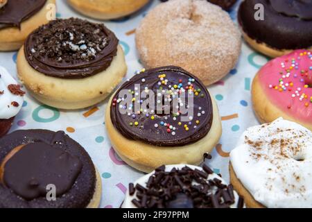 A delicious selection of colourful doughnuts including a chocolate one with sprinkles Stock Photo